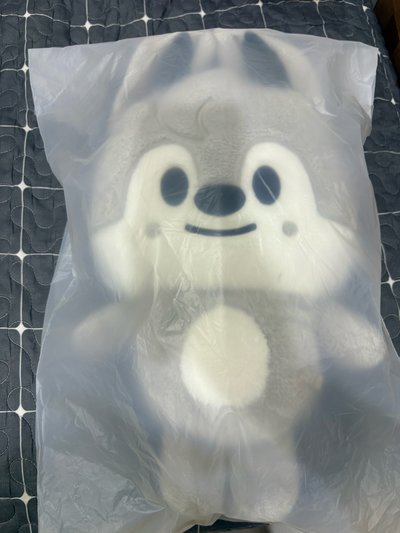 （現貨）6th FM 燦 彬 後背包