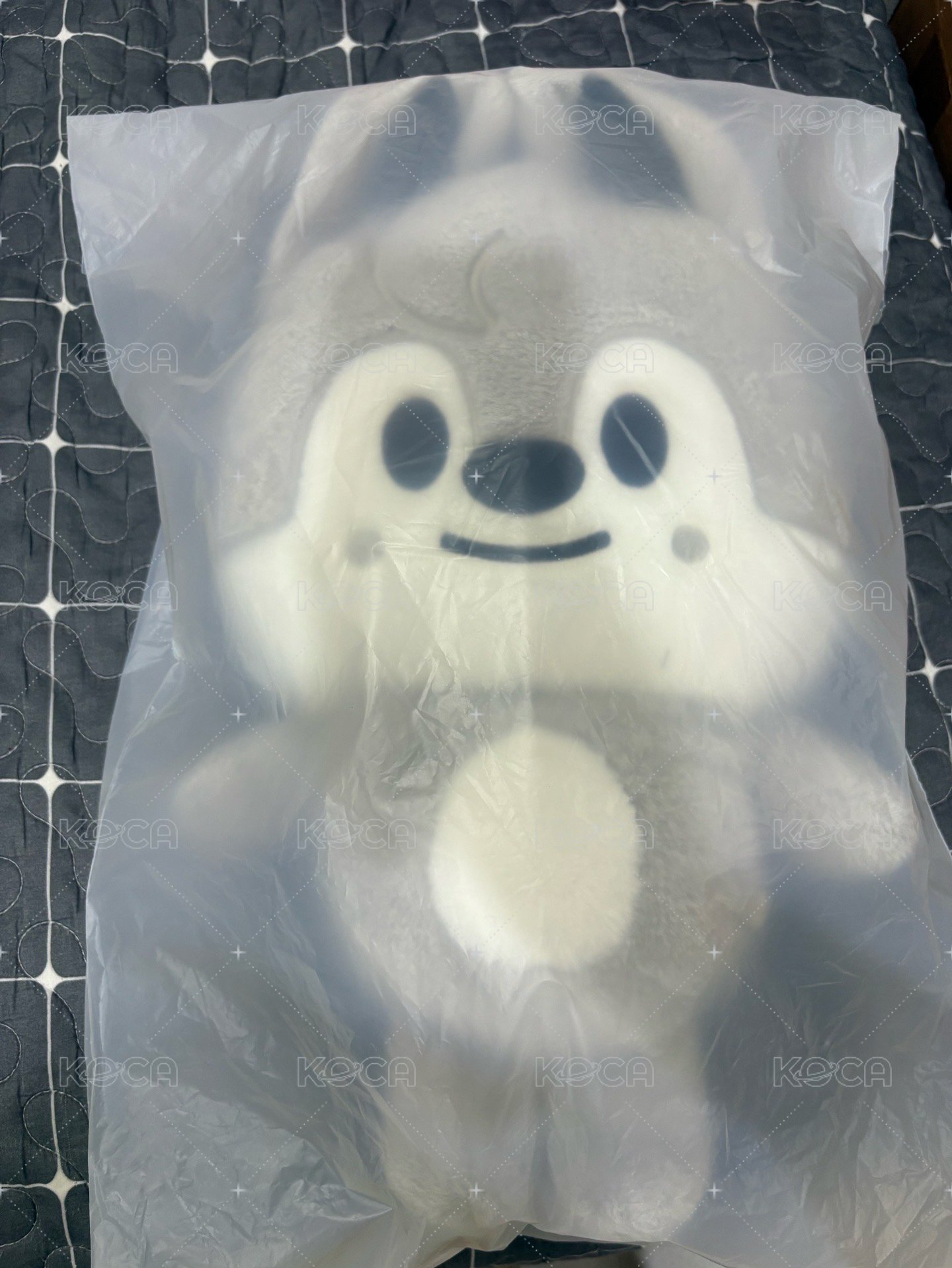 燦 後背娃包