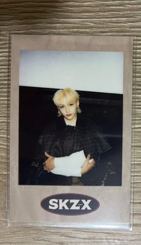 SKZ-X(左)
