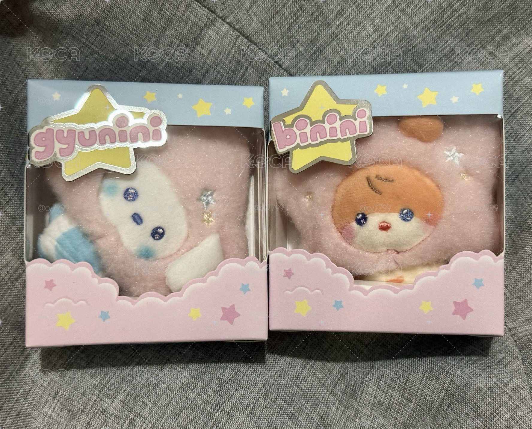 zeroni 星星奎