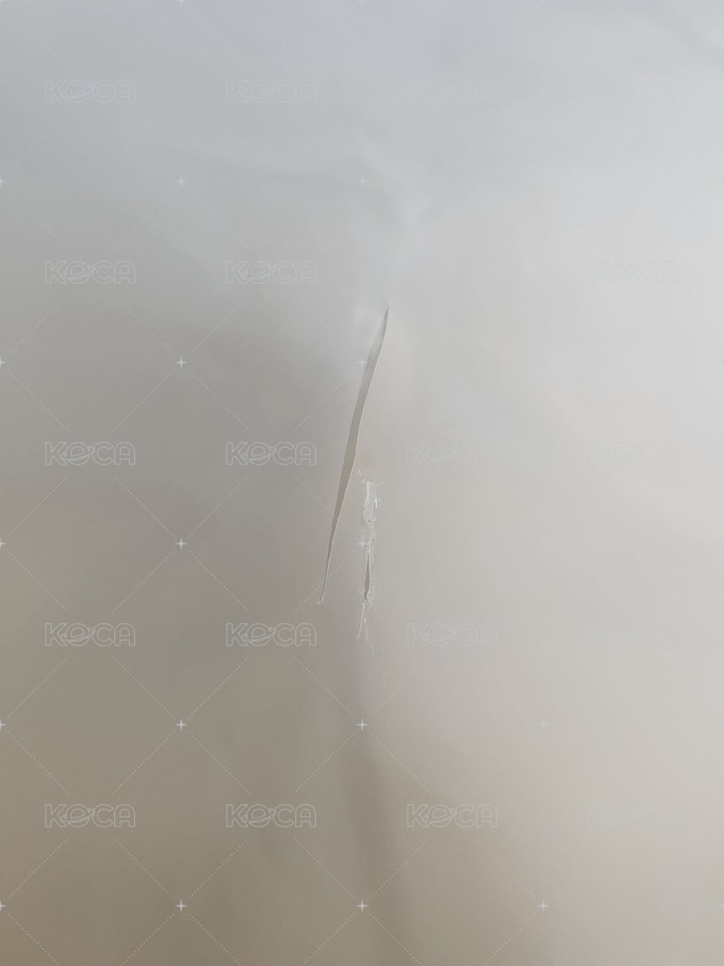 外袋微損 黃春無損！