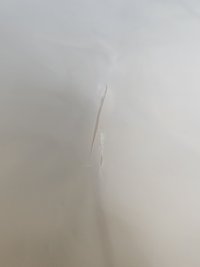 外袋微損 黃春無損！