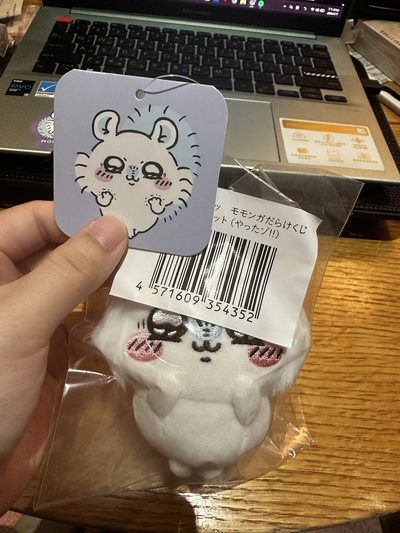 🤍吉伊卡哇 小桃一番賞 E賞吊飾娃