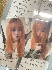 橘子哈