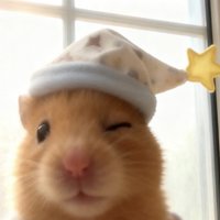 狗狗之家🏠