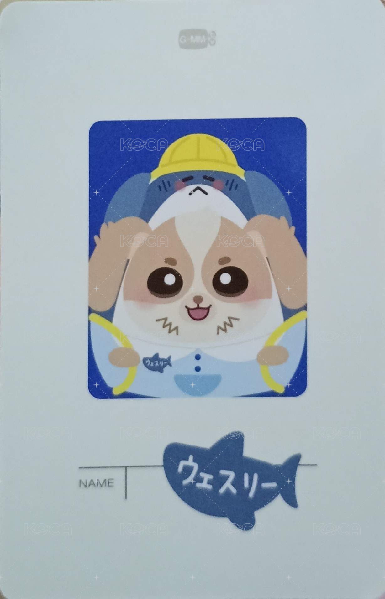 25大阪快閃店 周邊卡 髮圈卡 背面