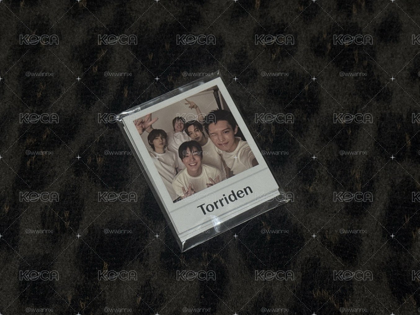 Torriden代言小卡一套