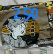 JS 第二彈浮雕 徽章 日向