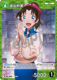 TCG D06 D 卡牌遊戲 