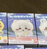 採集吉伊