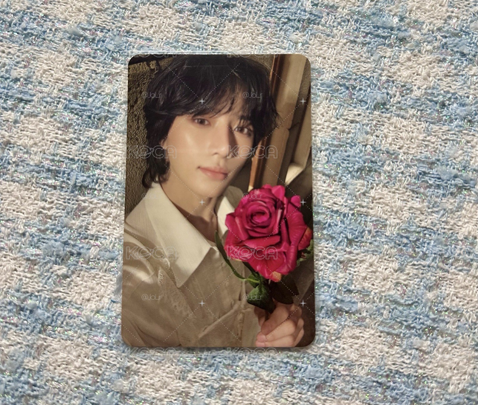 貌美的圭🌹