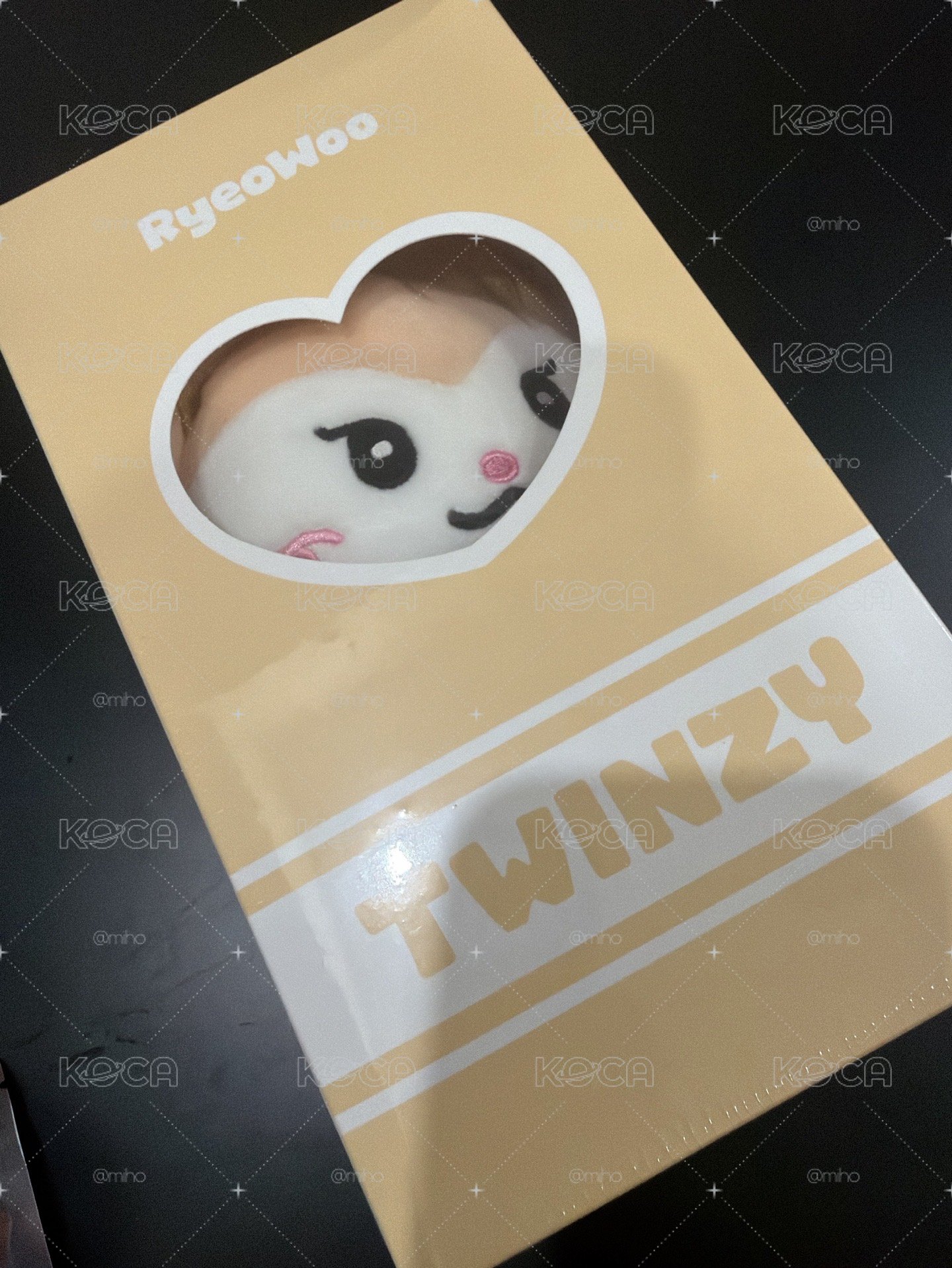 TWINZY 領大娃