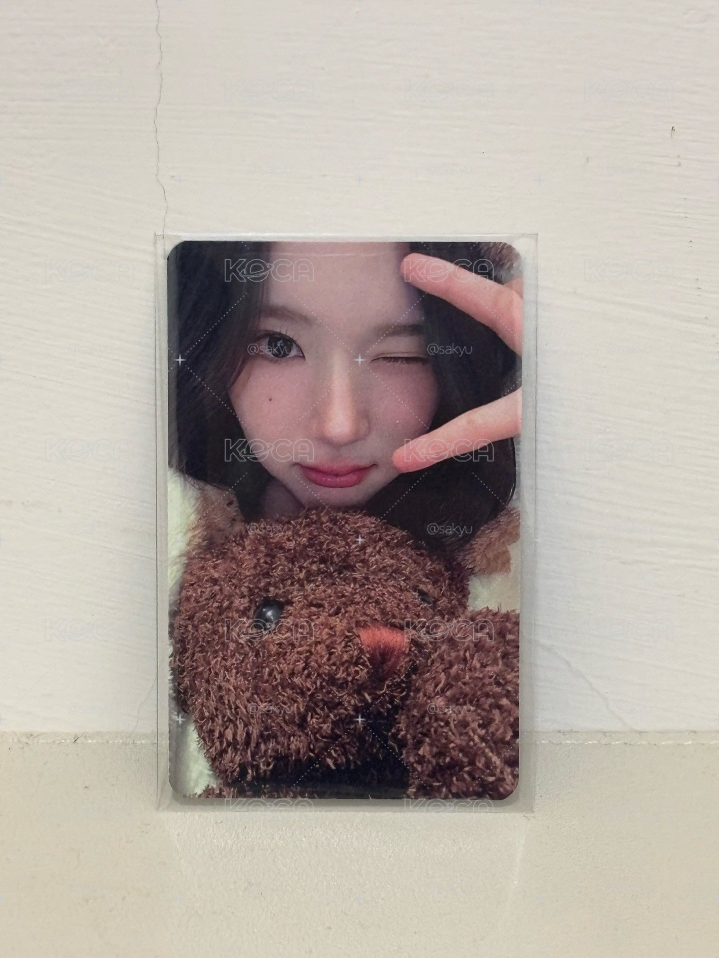 抱熊Jiwoo