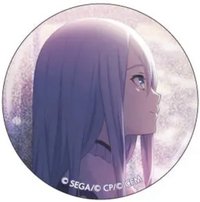 細閃 vol.14C 徽章 初雪花後