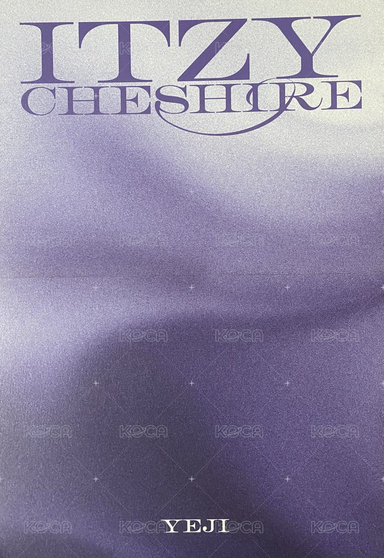 CHESHIRE 海報  背面