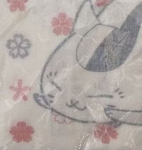 手帕 貓咪老師 紗布 A款