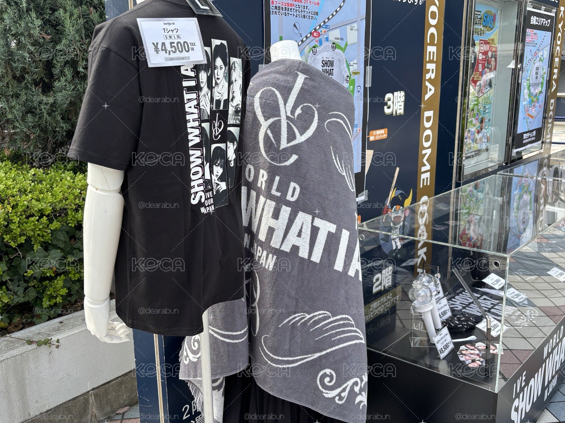 日本線下（現貨）SHOW WHAT I AM 日巡大阪