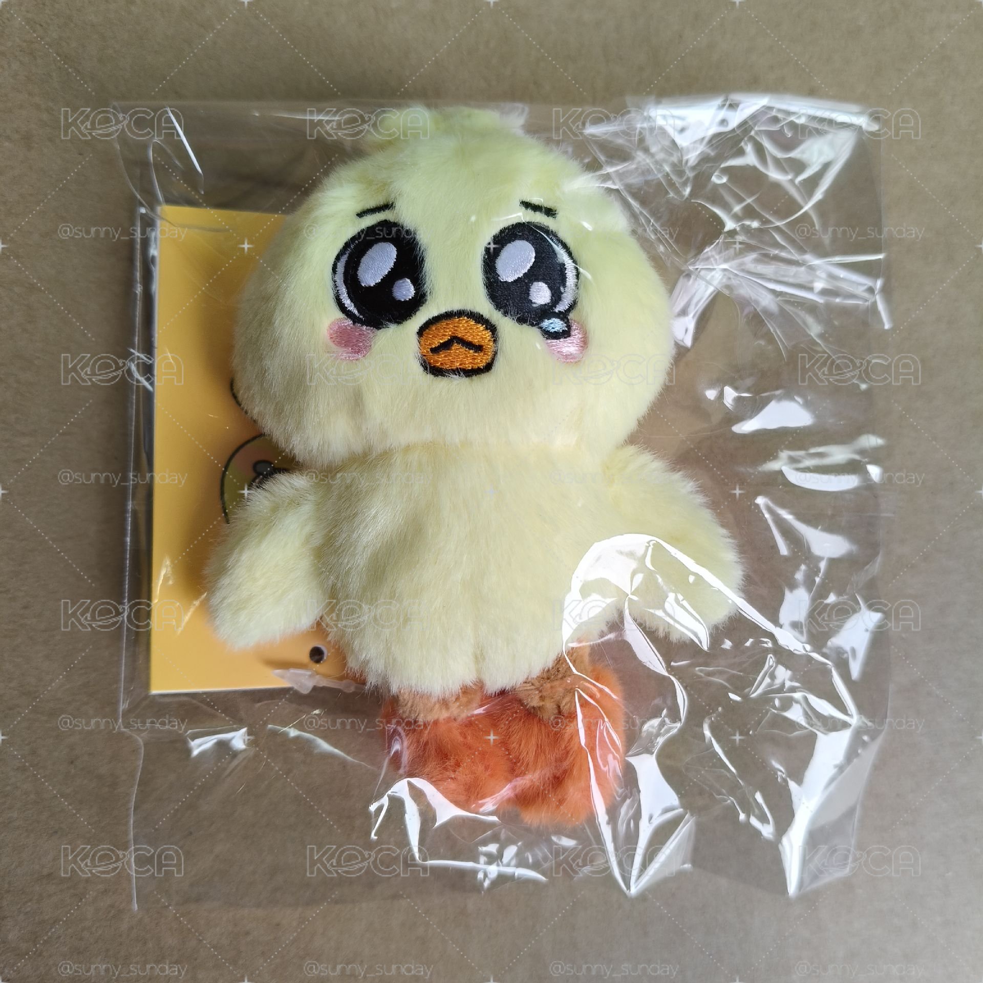 不綁 現貨 NMIXX 裴 Bae 大娃