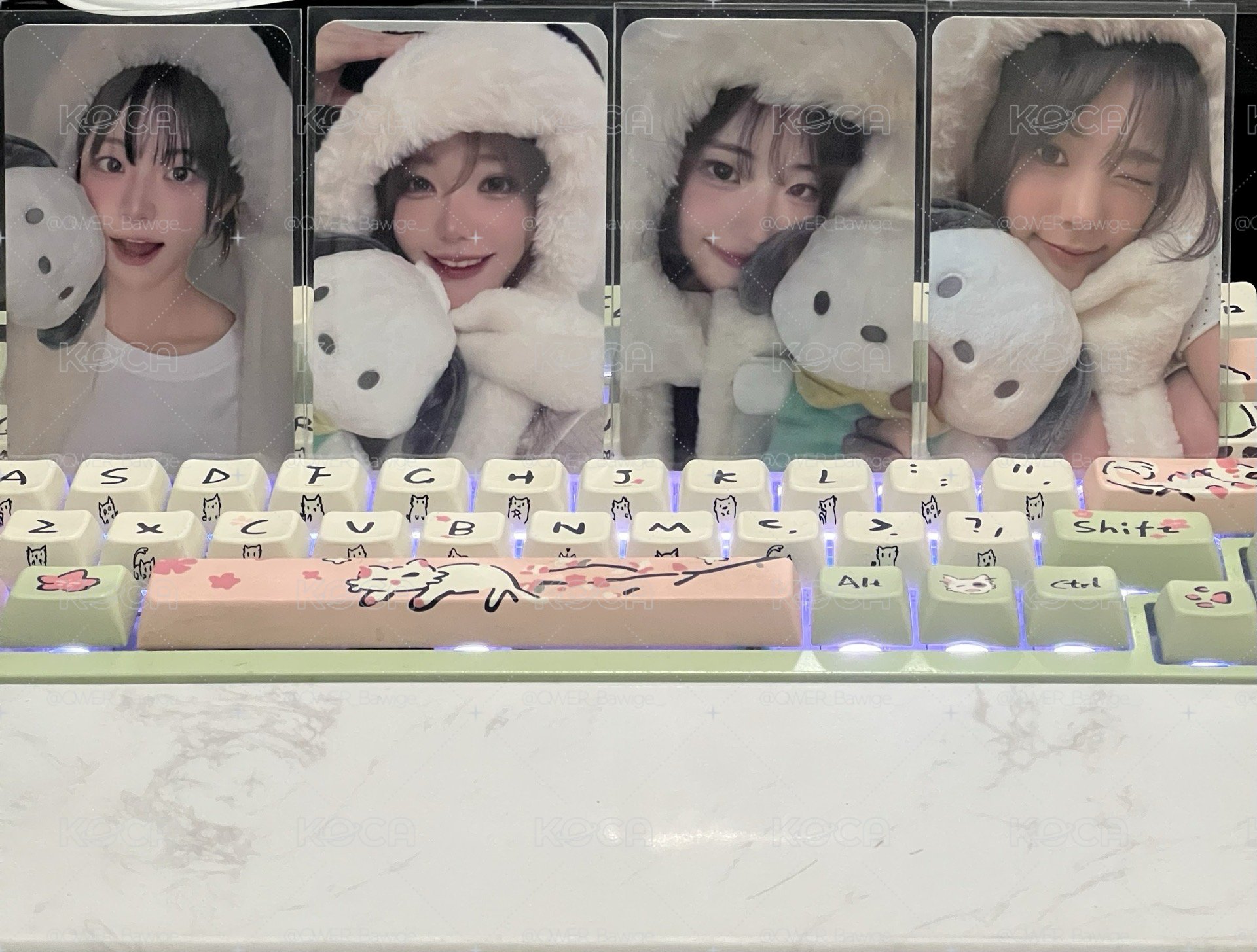 QWER BEATROAD 帕恰狗 特典 一套