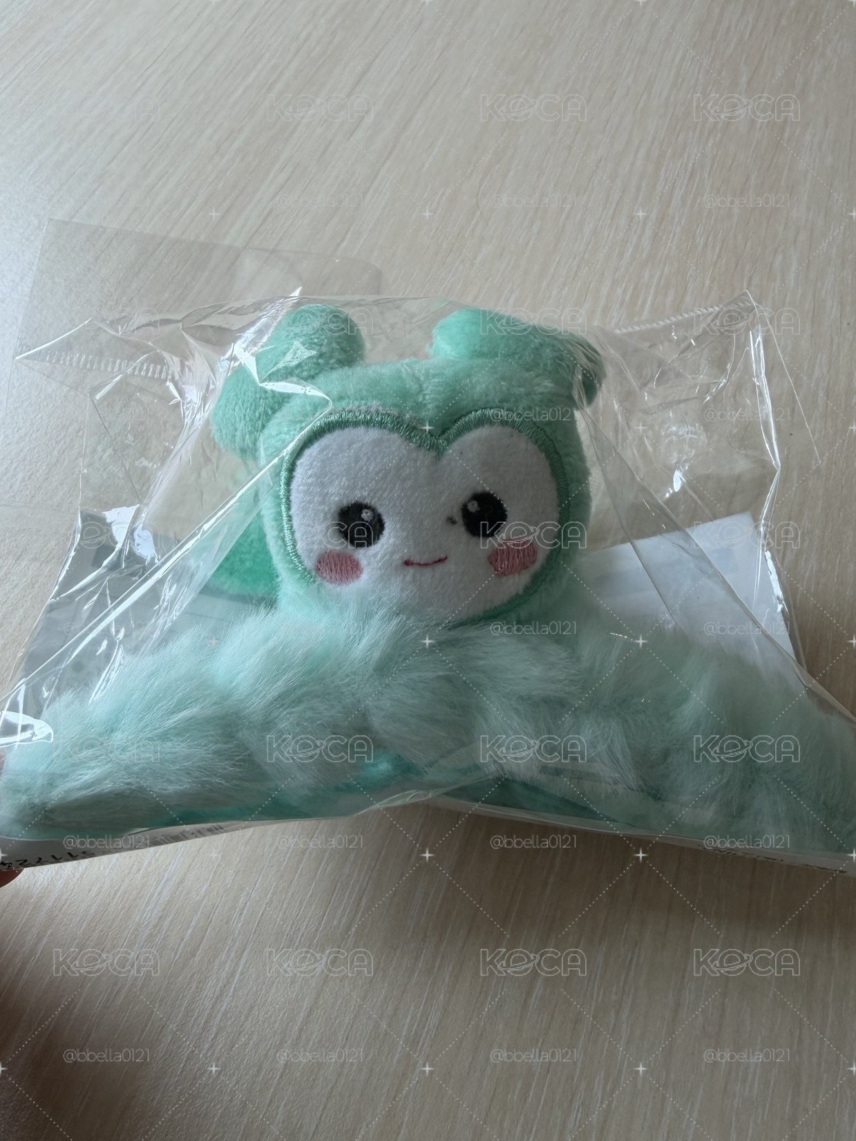 新國立 Mina鯊魚夾 髮夾（現貨）