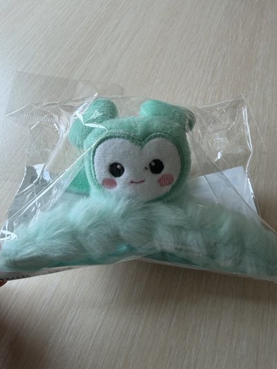 新國立 Mina鯊魚夾 髮夾
