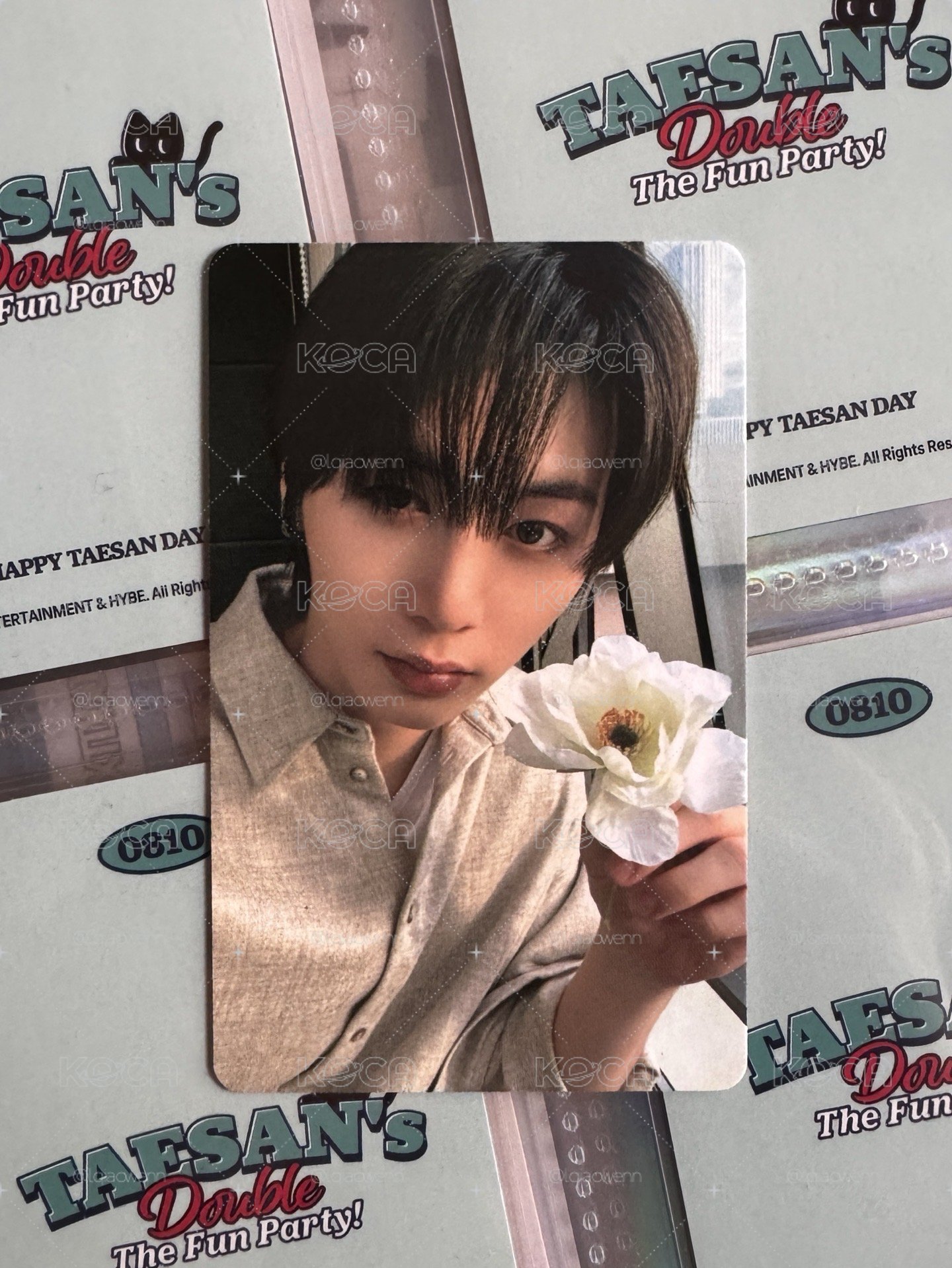 🐈‍⬛TAESAN｜The Action wvs特典卡