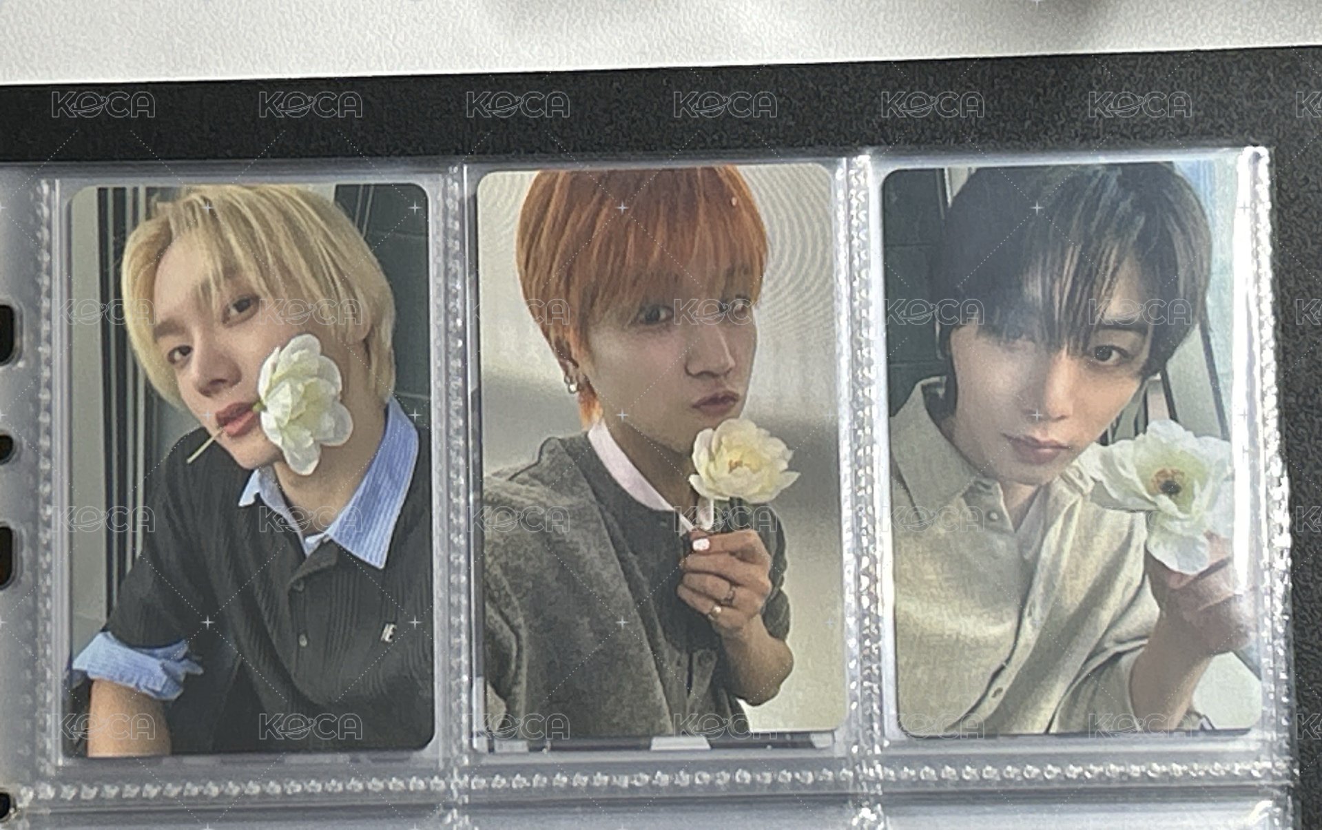 the action wvs特典 花花 124