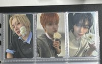 the action wvs特典 花花 124