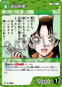 TCG P06 C 卡牌遊戲 