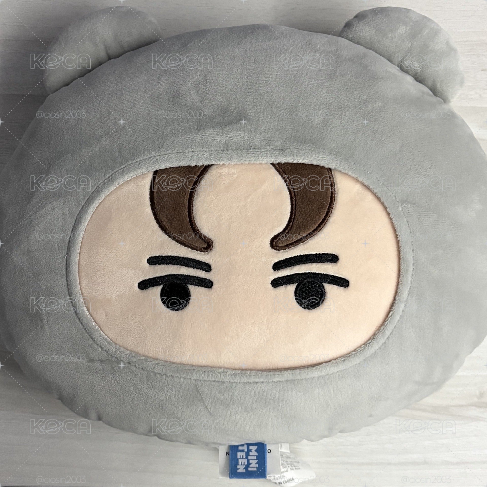 MINITEEN 抱枕 VERNON