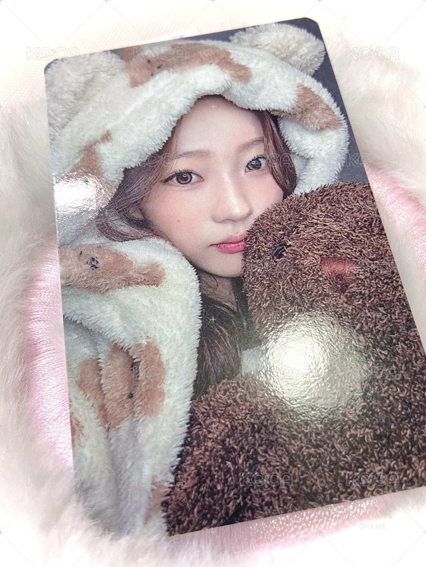 Stalla ia 2.0 抱熊🐻