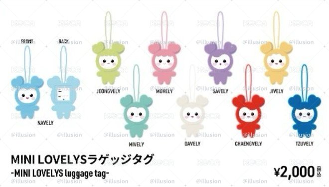 現貨 TWICE 新國立 行李吊牌