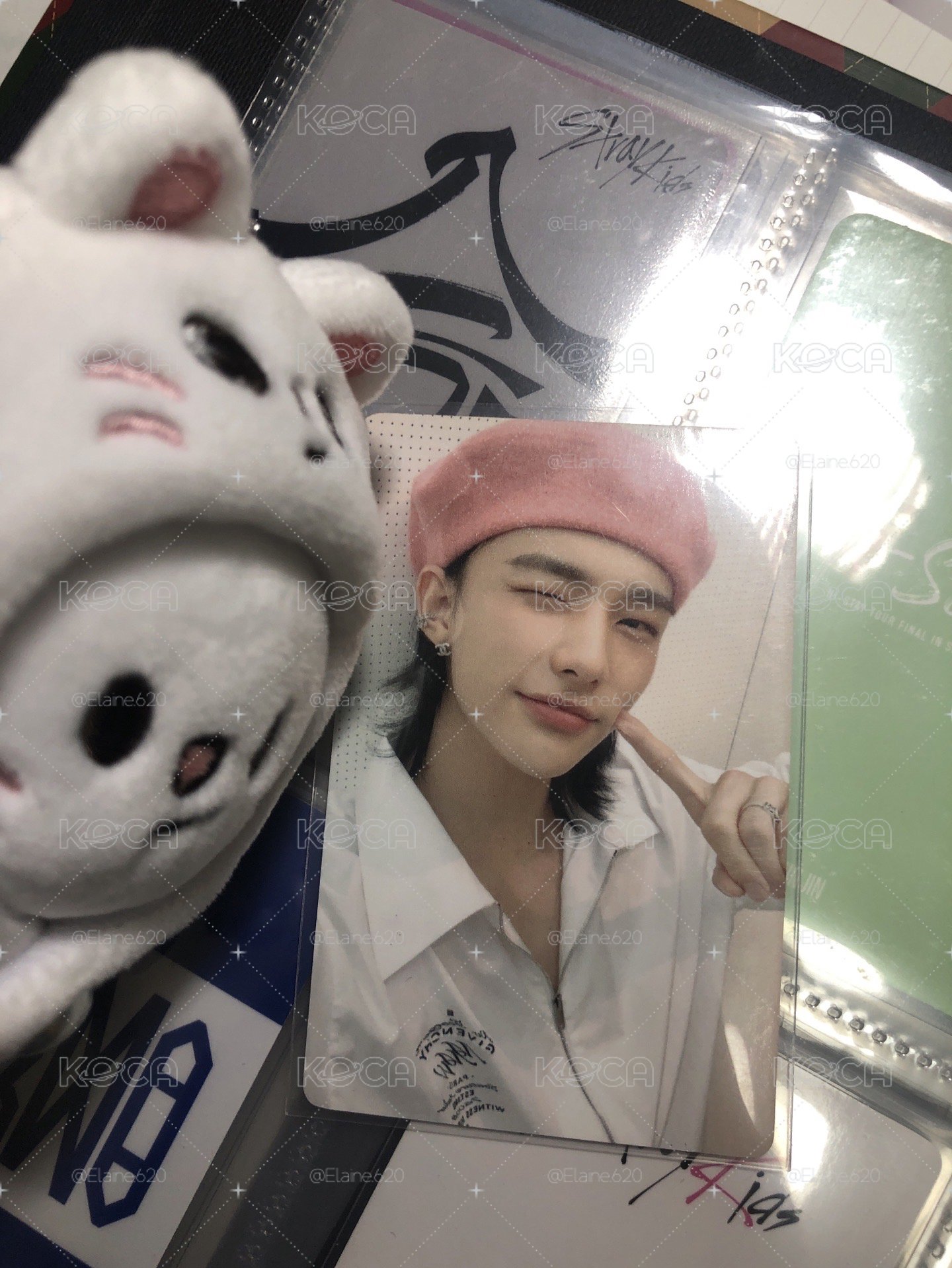 萌萌粉帽辰💞