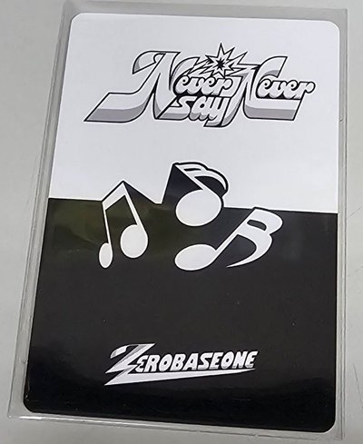 zb1 正規一 yzy 中簽 抽選卡 西裝