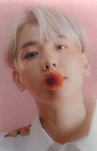 BAEKHYUN mumo 特典卡 透卡