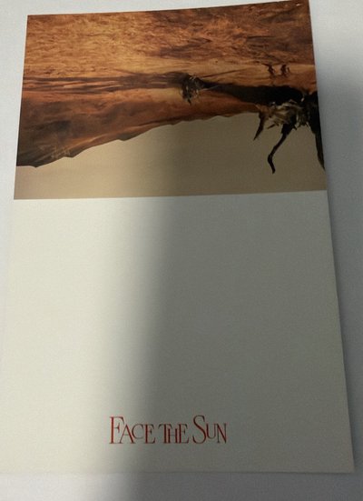 賣火柴的崔不發音勝喆