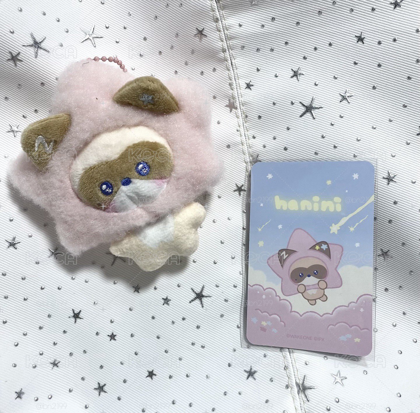 星星hanini 含盒含卡 送章昊韓安紙花