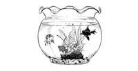 六平家の金魚