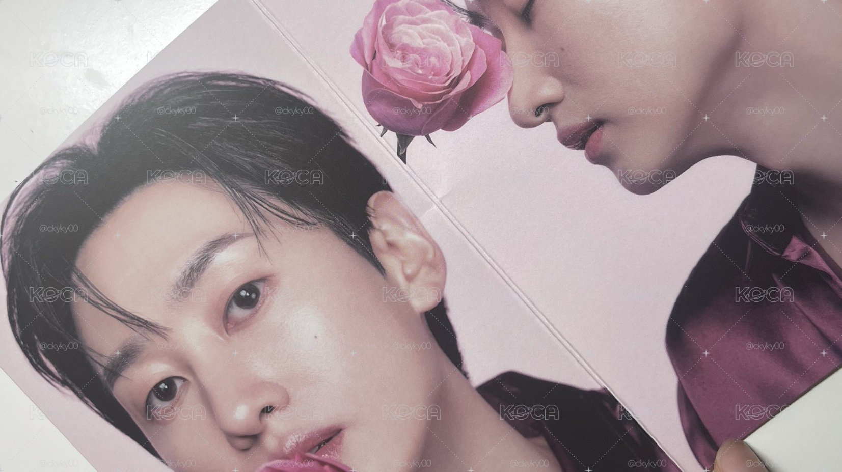 赫宰第五波mediheal 明信片🌹