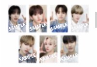 EVERBLUE VICTOR online store