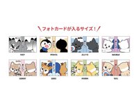 2026 日巡 迷你卡冊