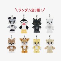 2026 日巡 隨機NEXZOO吊娃