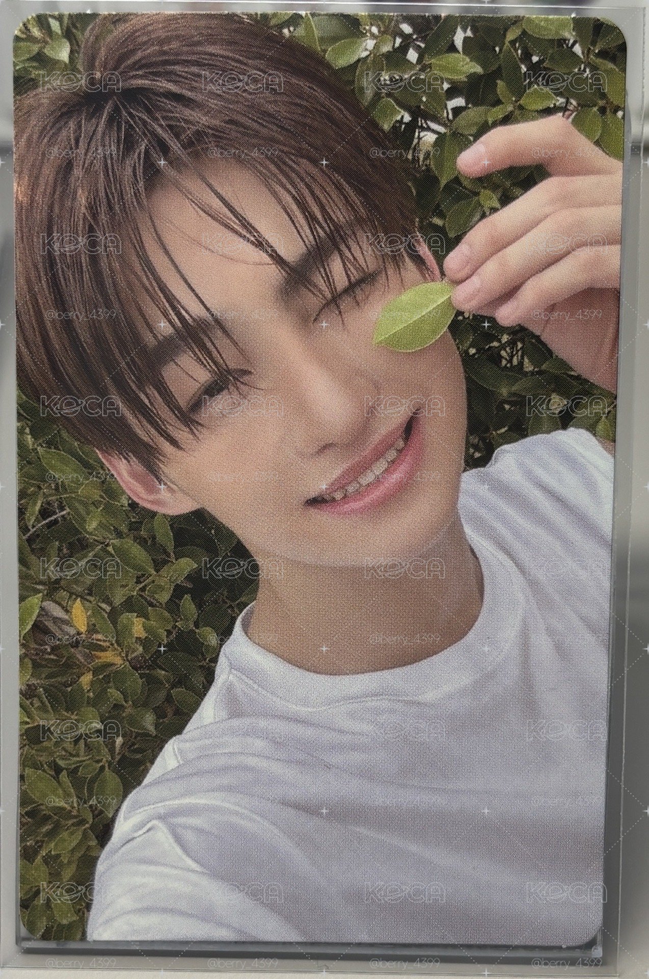 迷二專輯卡 NOW ver.
