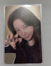 貓抓葉
