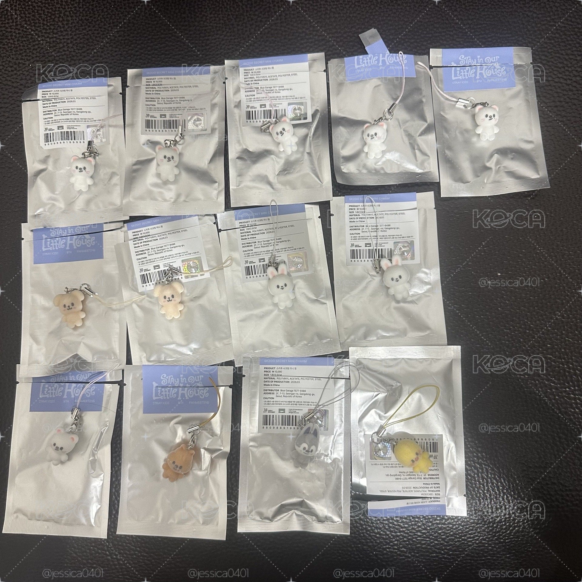 SKZOO 六期飯咪 植絨小公仔