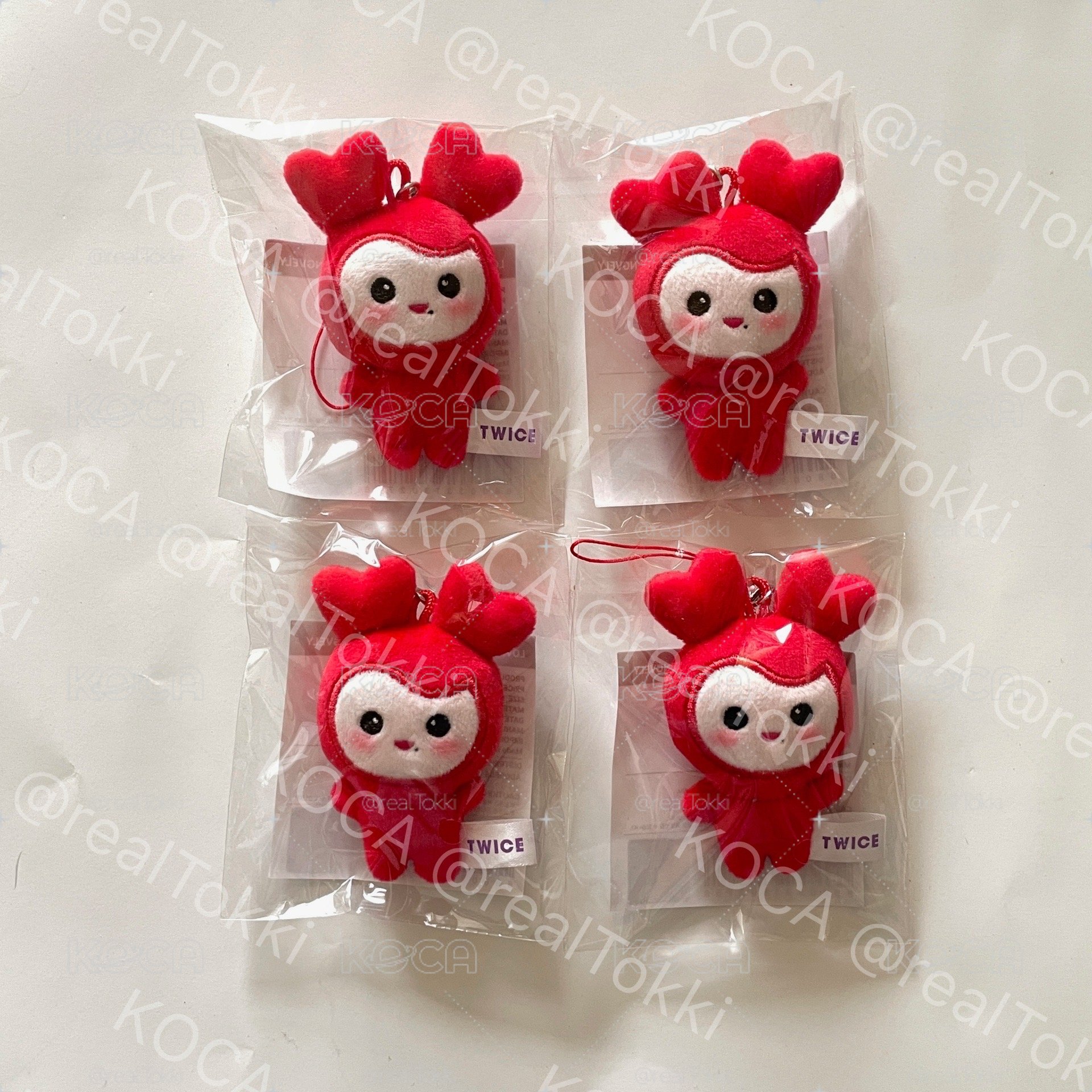 現貨不綁 FANS再販批次 彩瑛豆豆眼