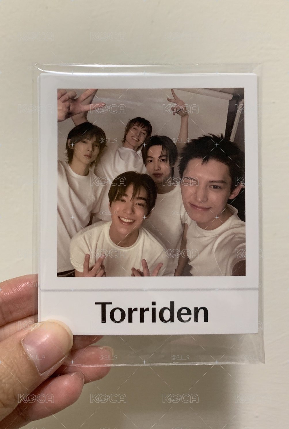 torriden 精華小卡組