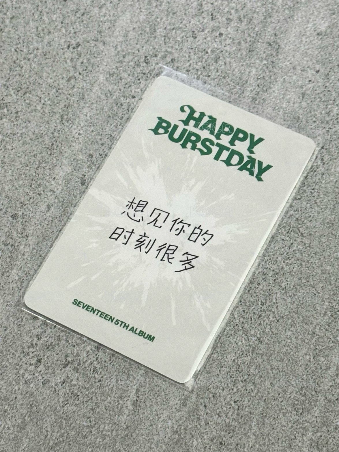 SVT 奎 十週年中背
