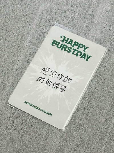 SVT 奎 十週年中背
