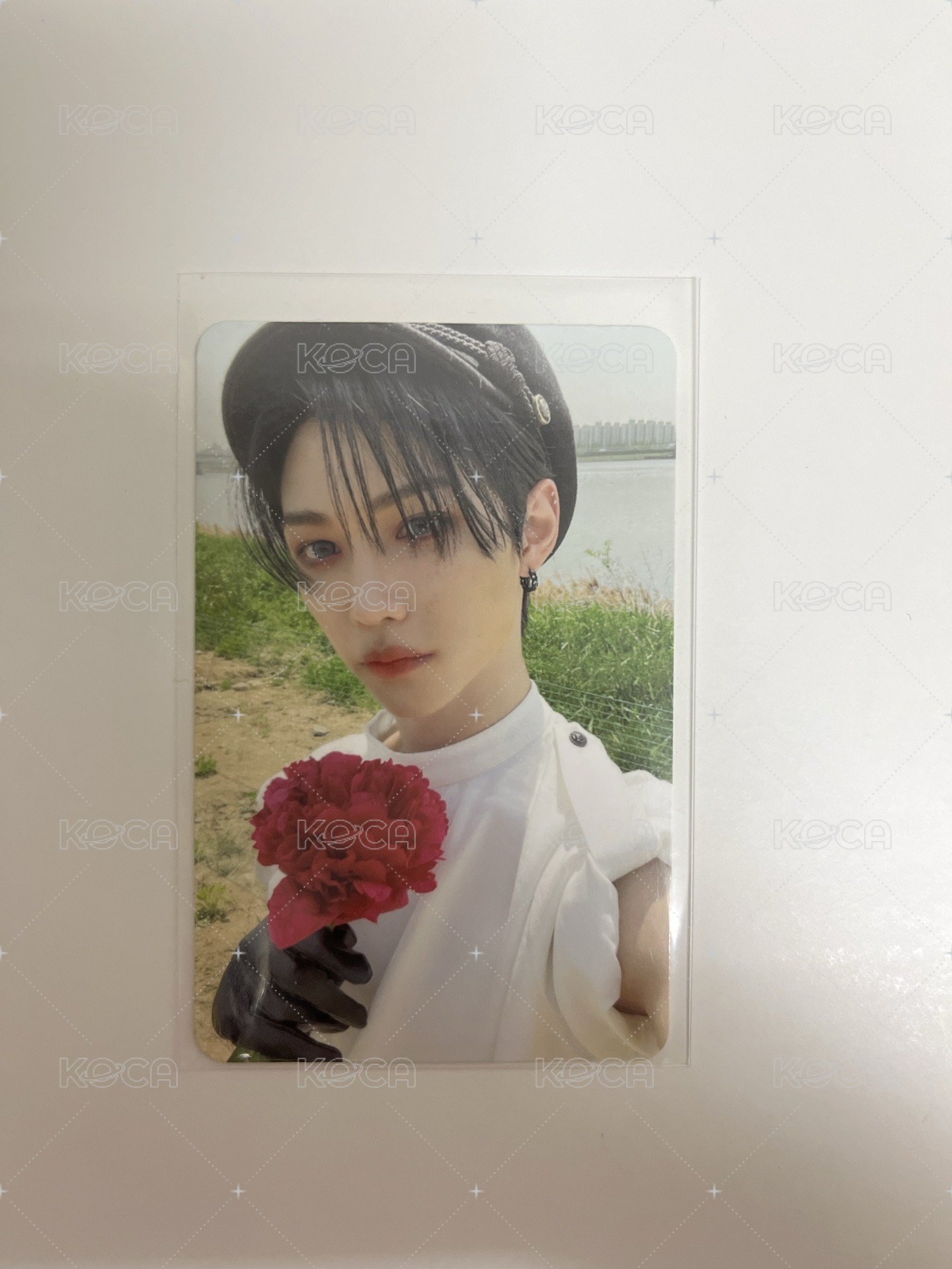 maxident菲